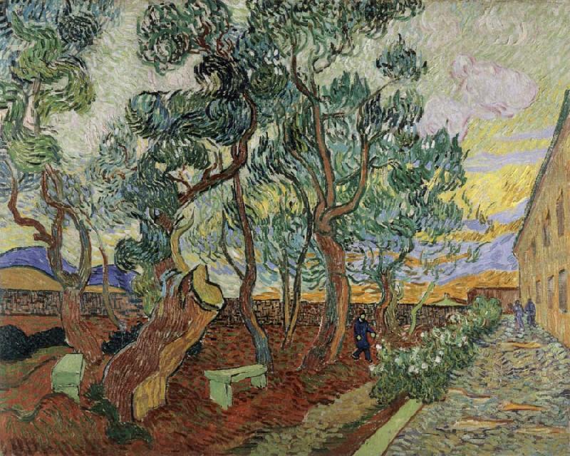 Vincent Van Gogh The Garden of the Asylum in St.Remy